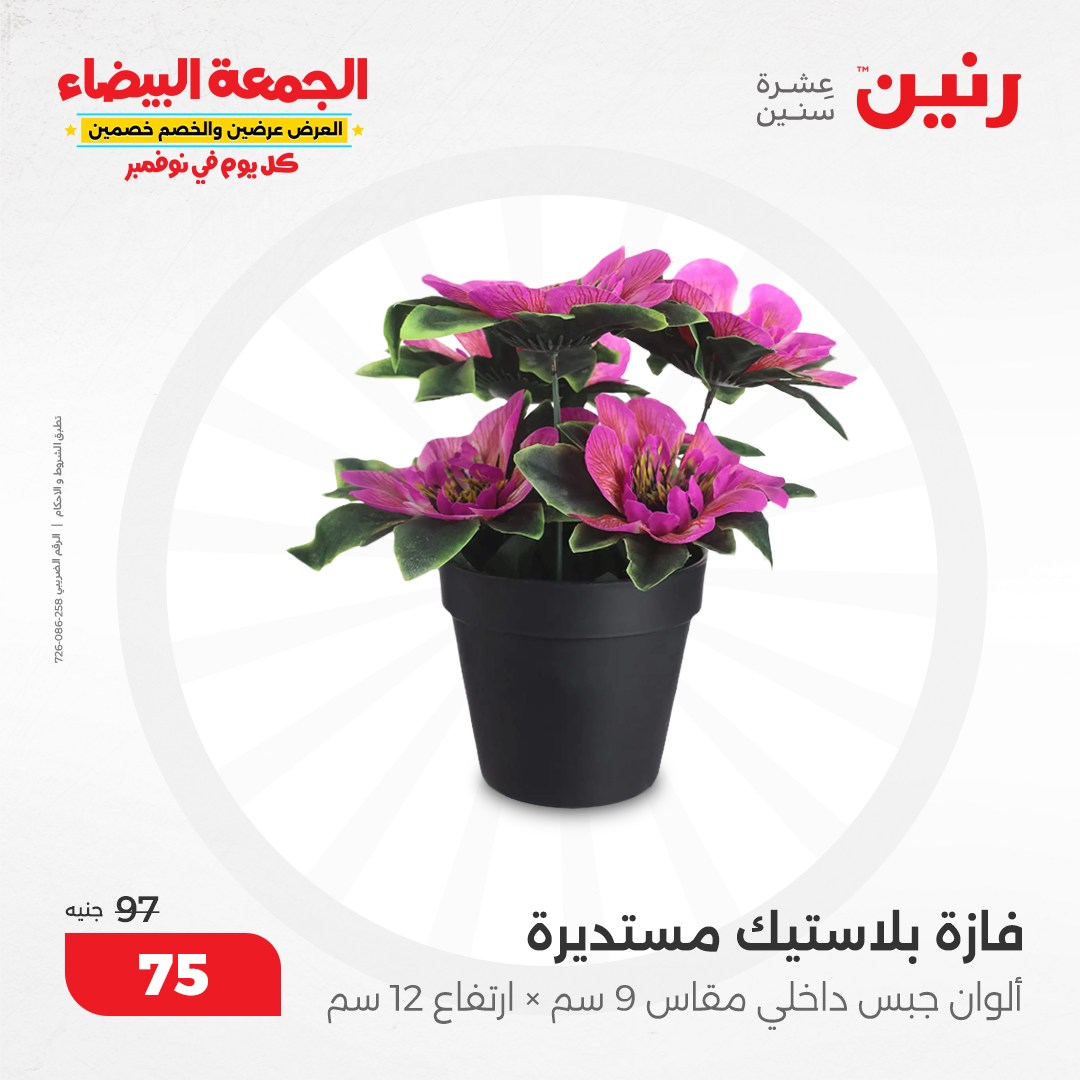 raneen offers from 9nov to 20nov 2024 عروض رنين من 9 نوفمبر حتى 20 نوفمبر 2024 صفحة رقم 38